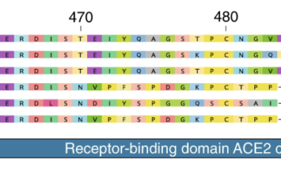 SARS-CoV-2 was not made in a lab