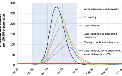 Coronavirus suppression, mitigation, and flattening the curve