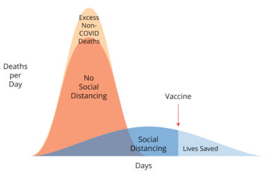 The Coronavirus Endgame 2: Social distancing won’t save us