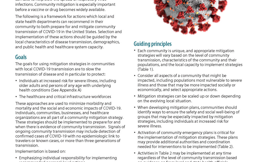 The Coronavirus Endgame 4: Guiding principles to end the lockdown