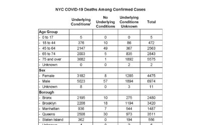 The Coronavirus Endgame 3: Herd immunity is not an evil plot