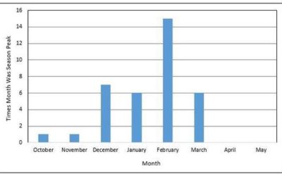 Where did the flu go?