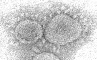 Lab leak vs spillover: Origin of COVID-19